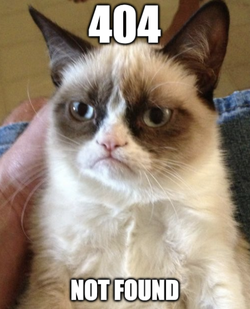 Grumpy cat 404 meme